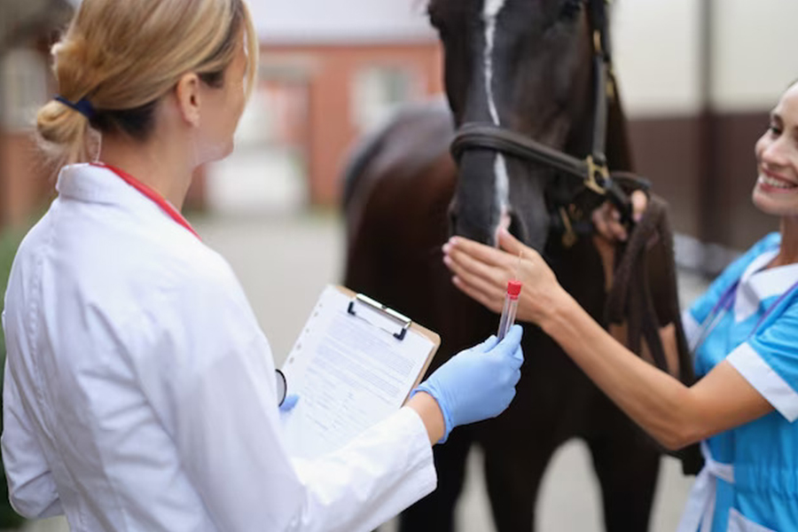 a person holding a test tube next to a horse