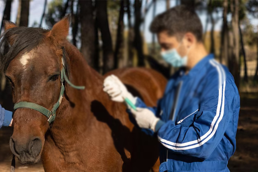 a person wearing a mask and gloves holding a horse